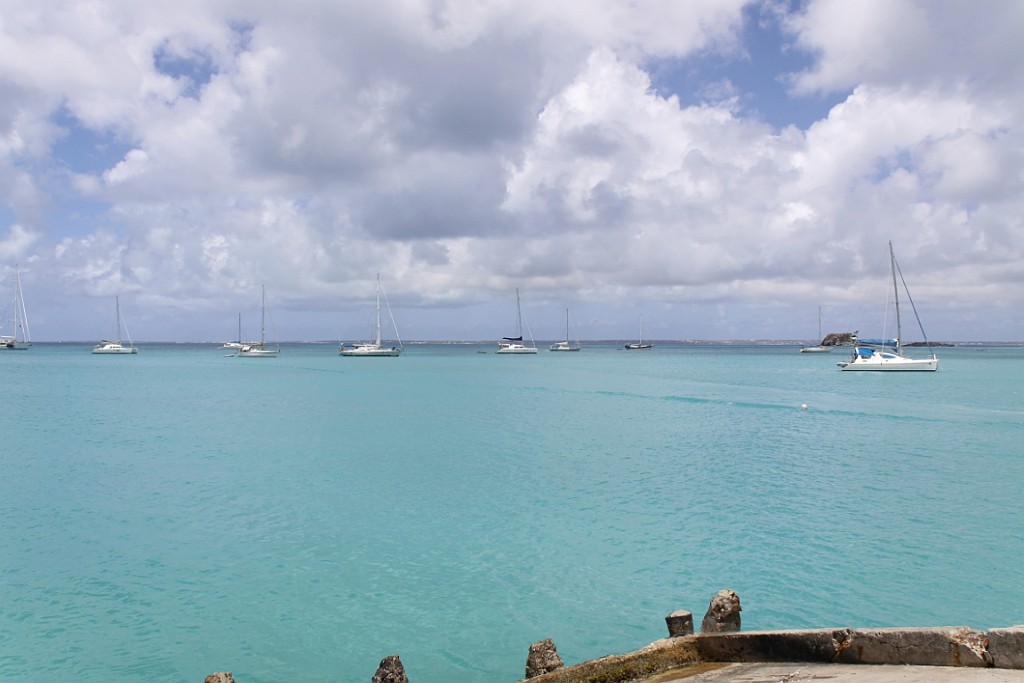 cruise507.jpg