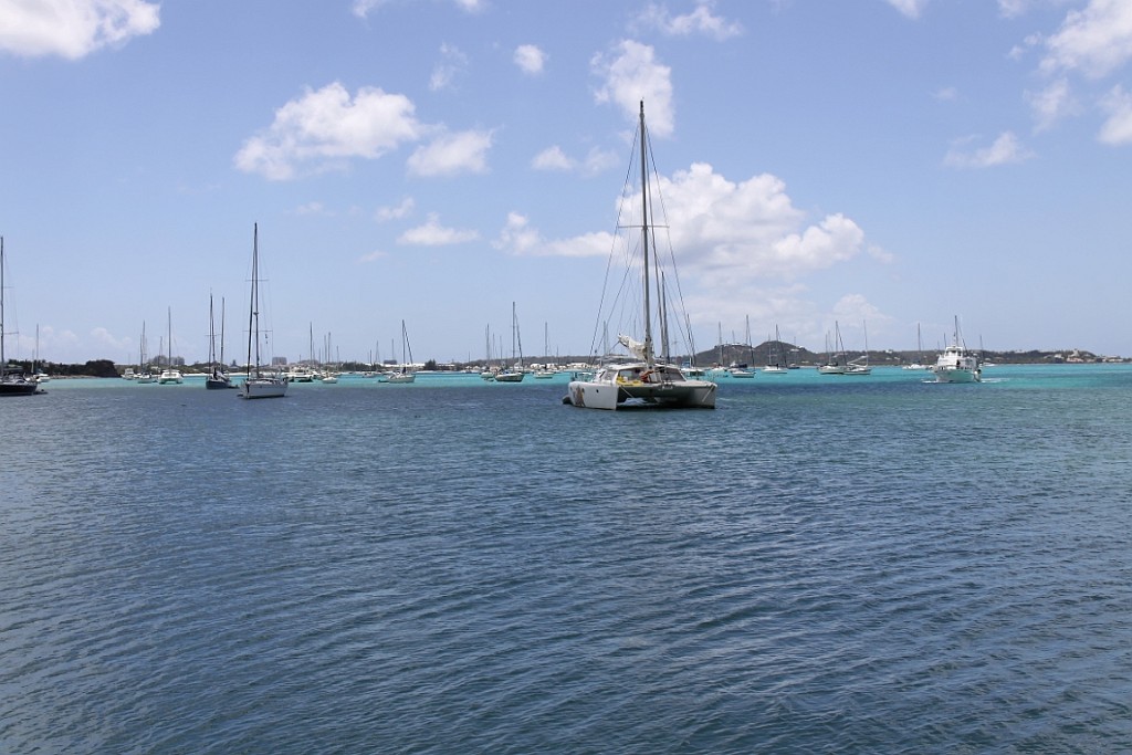 cruise516.jpg