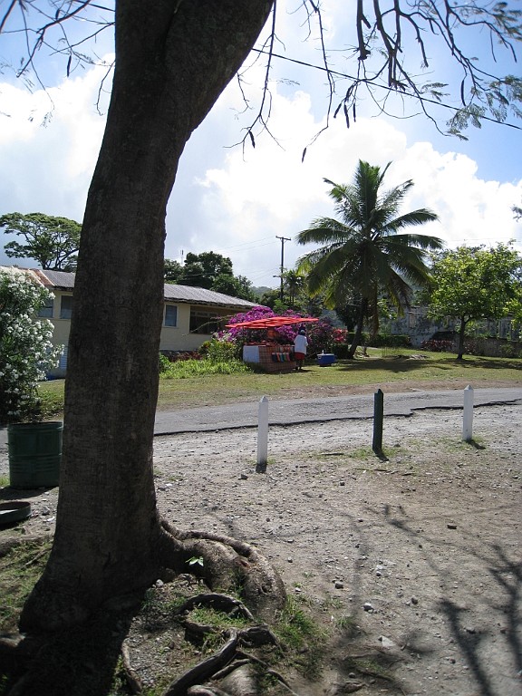 cruise551.JPG