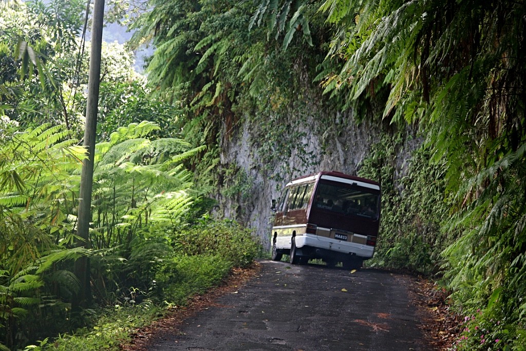 cruise574.JPG