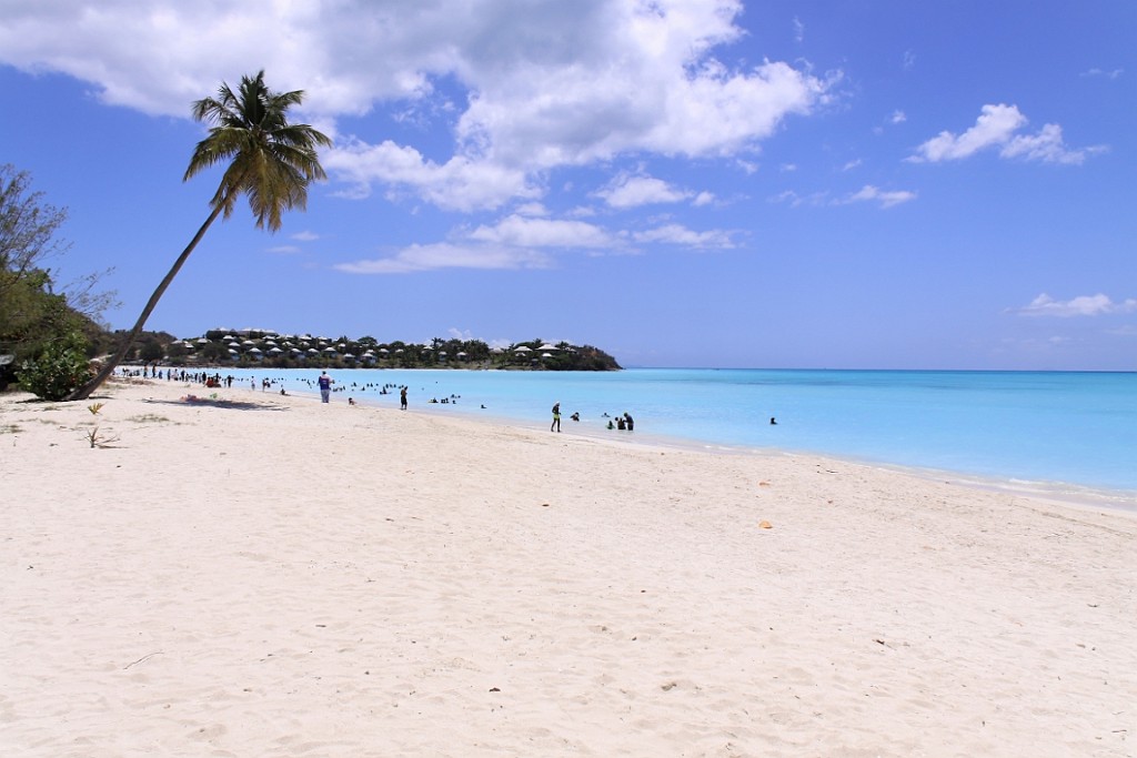 cruise761.jpg