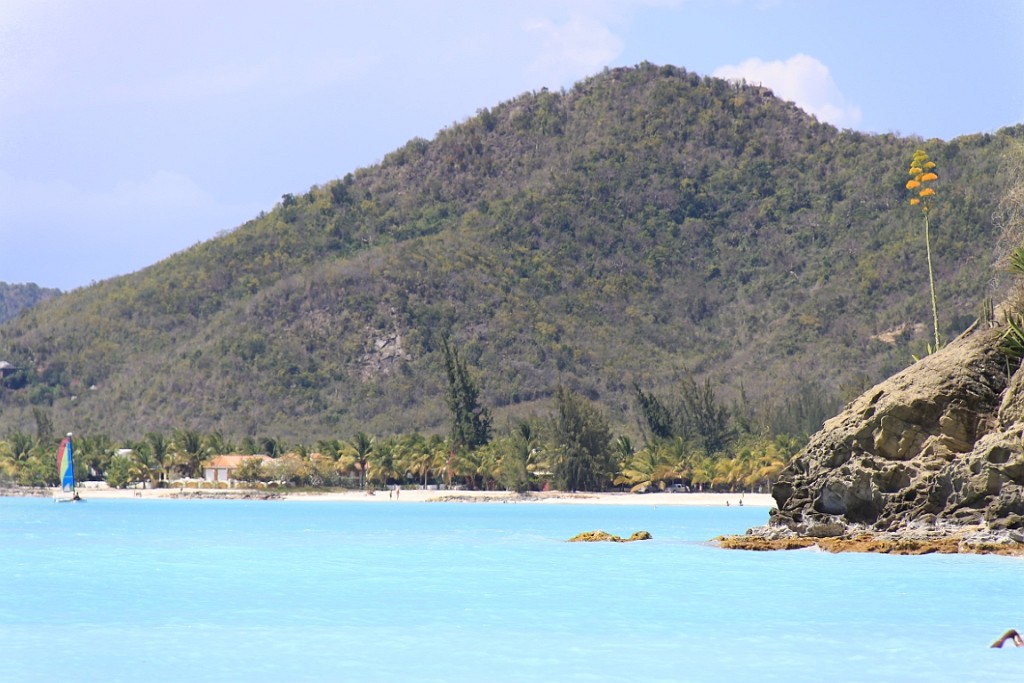 cruise763.jpg