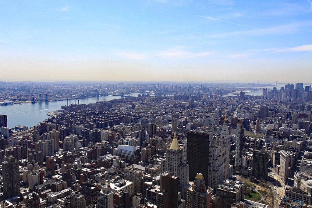 cruise856.jpg