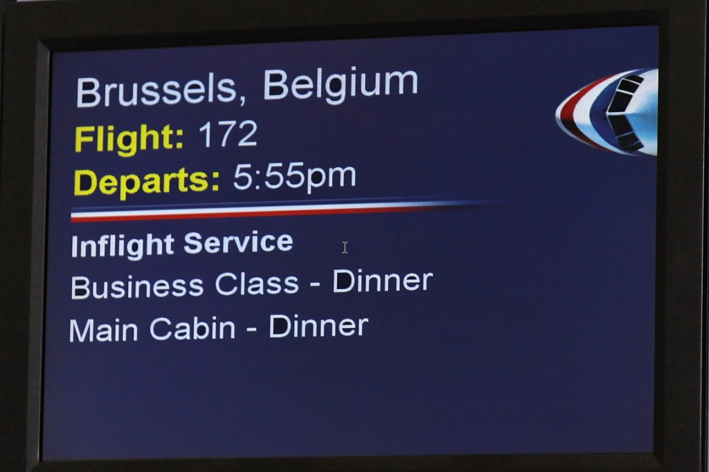 cruise891.jpg