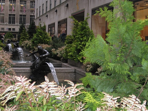 cruise051