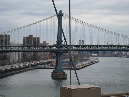 cruise081