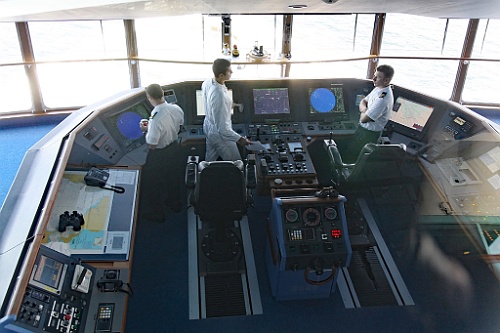 cruise239