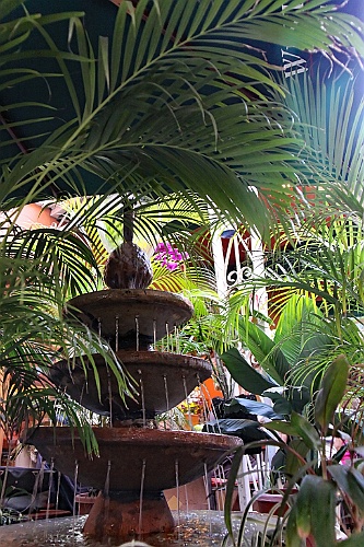cruise366