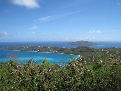 cruise386