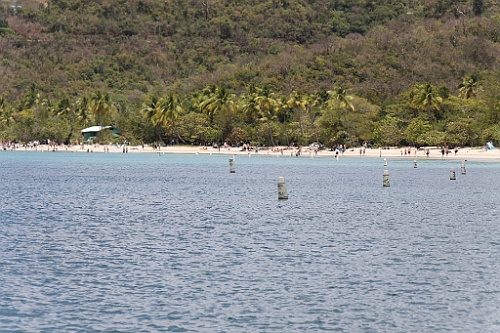 cruise401