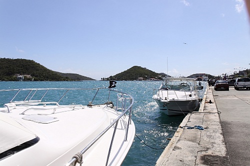 cruise411