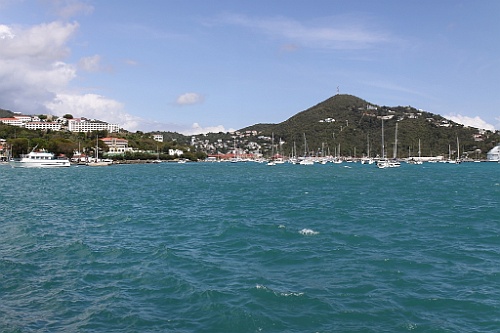 cruise412