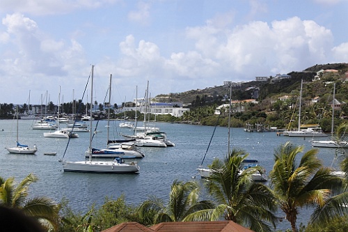 cruise464