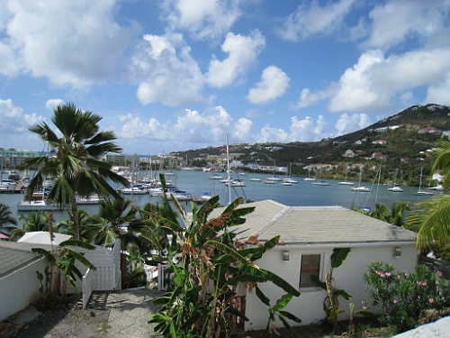 cruise467