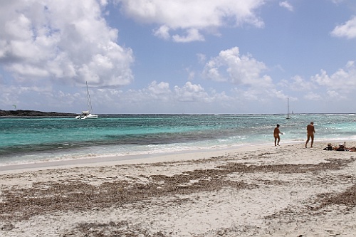 cruise484