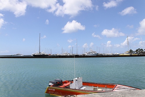 cruise515
