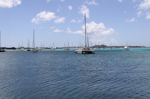 cruise516