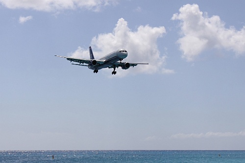 cruise528