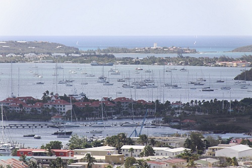 cruise532