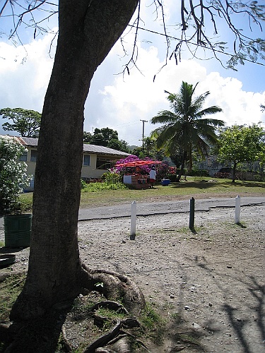 cruise551