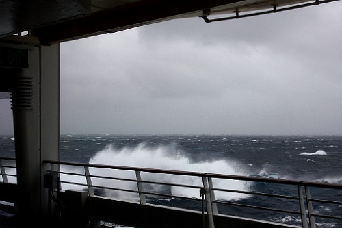 cruise826