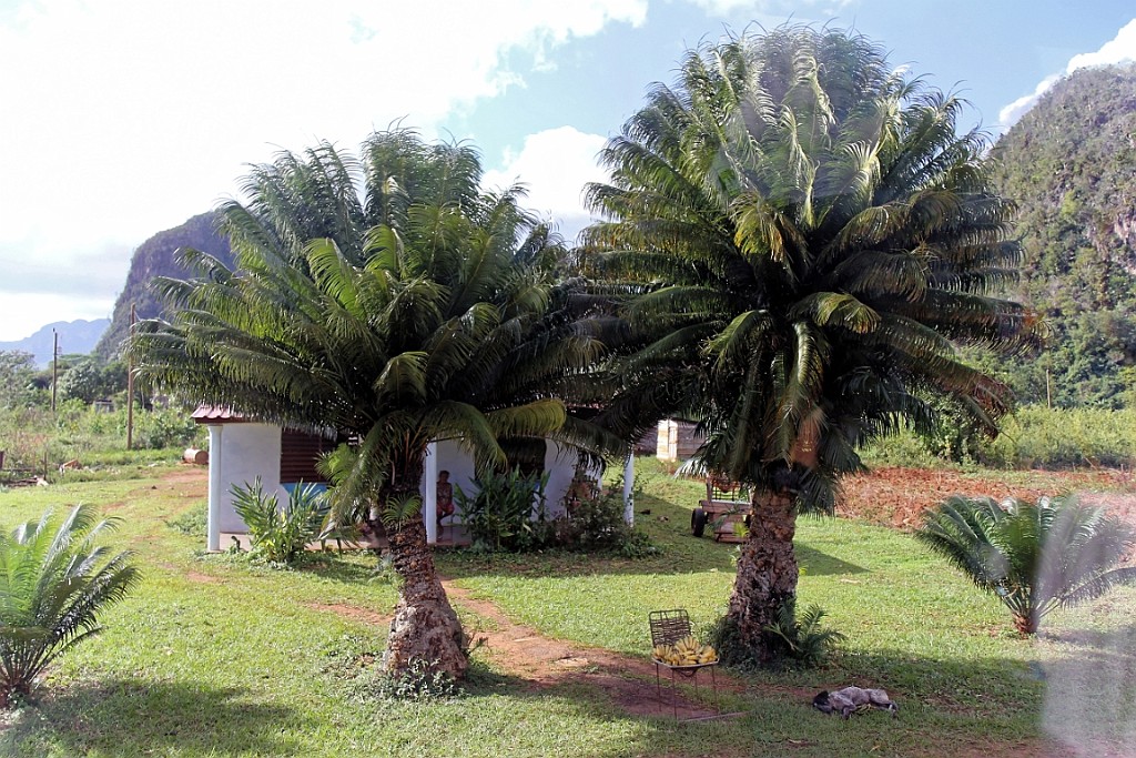 Cuba0280.jpg