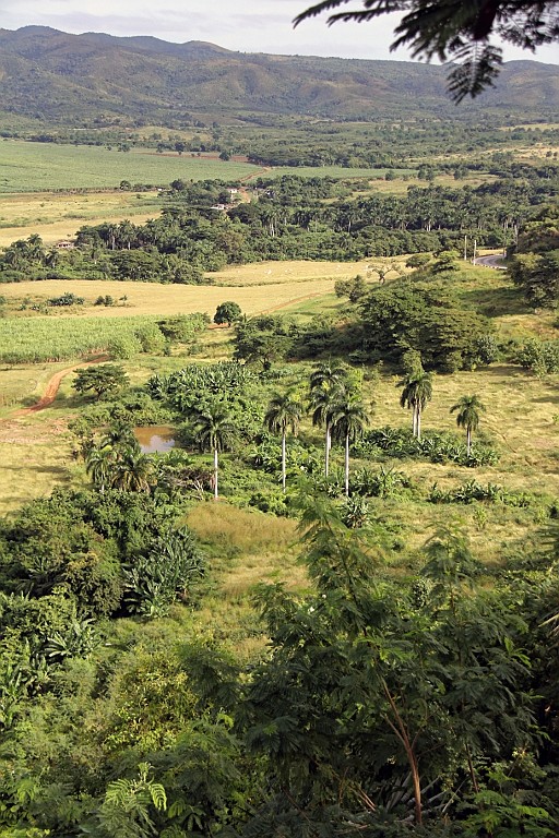 Cuba0500.jpg