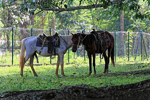 Cuba0286