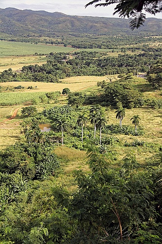 Cuba0500
