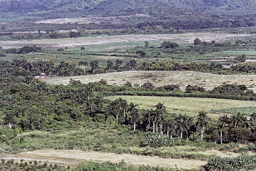 Cuba0501