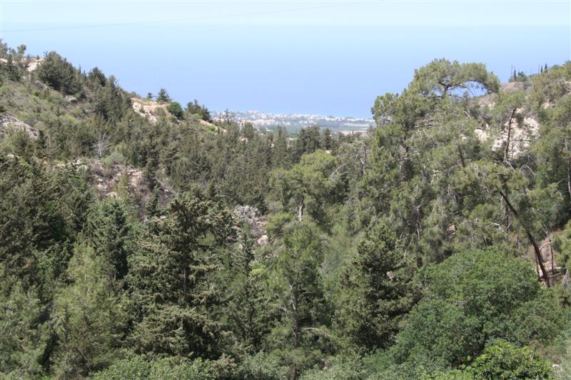 cyprus025.jpg - Zicht naar Paphos van aan het klooster