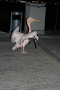 cyprus011