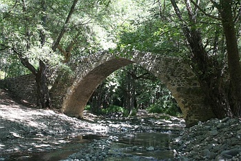 cyprus100