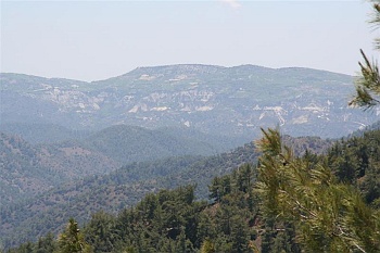 cyprus119