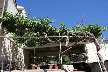 cyprus130