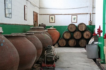 cyprus165