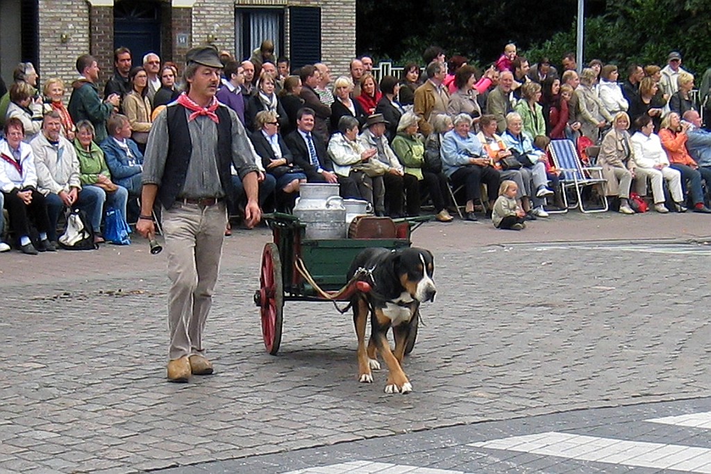 Geit048.JPG