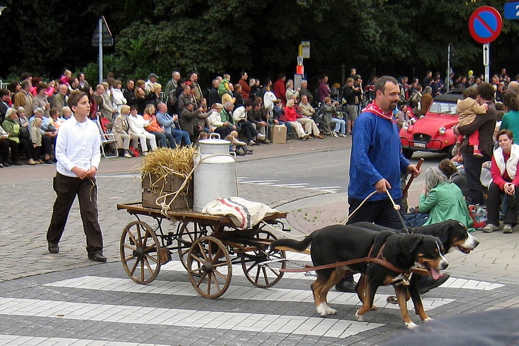 Geit049.JPG