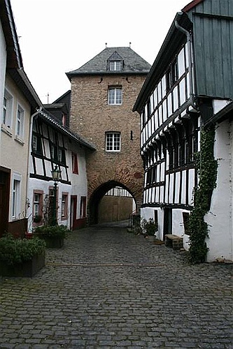 gerolstein020