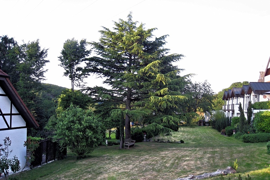 Heim071.jpg