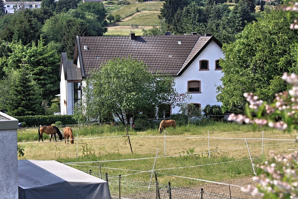 Heim075.jpg