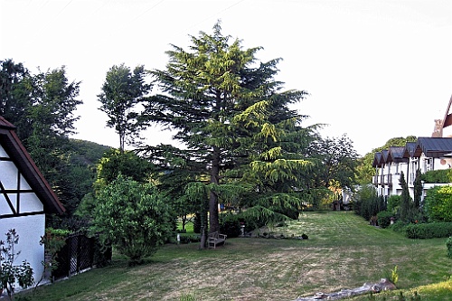 Heim071