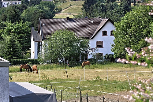 Heim075