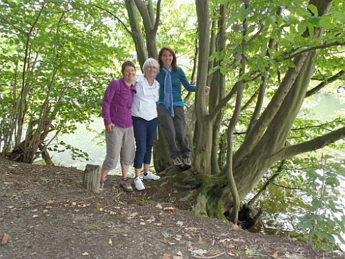 Heim047