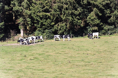 Heim092