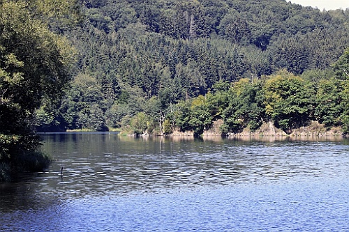 Heim099