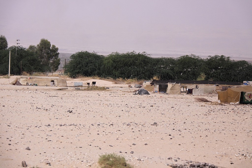 jor0015.jpg