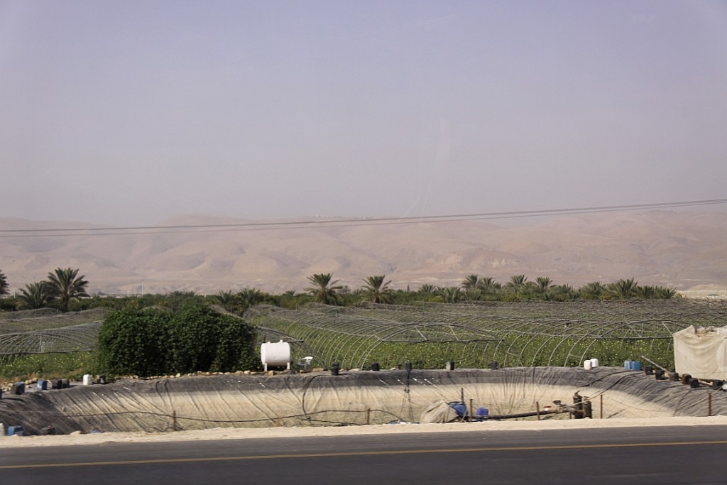 jor0068.jpg