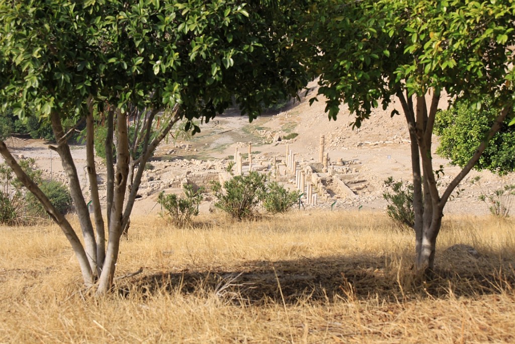 jor0081.jpg