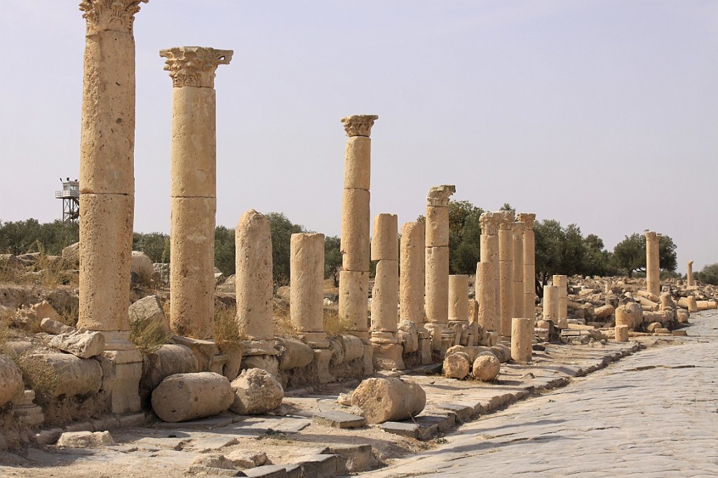 jor0110.jpg